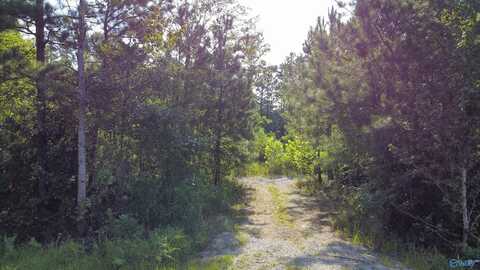 Lot 6 Hiawatha Place, Rainbow City, AL 35906