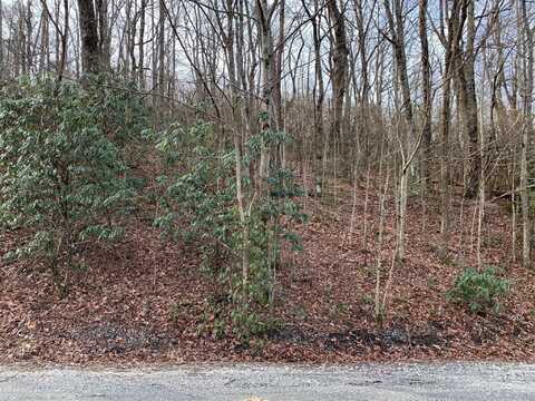 00 Melrose Mountain Road, Tryon, NC 28782