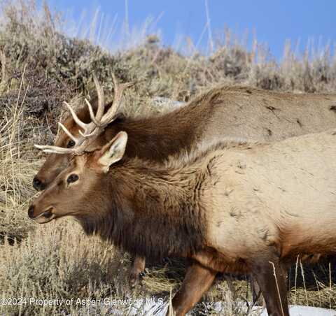 Tbd County Road 76, Hayden, CO 81639