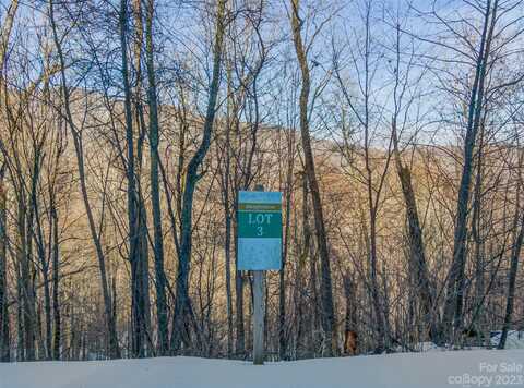 Lot 3 Mountain Gait Drive, Mars Hill, NC 28754