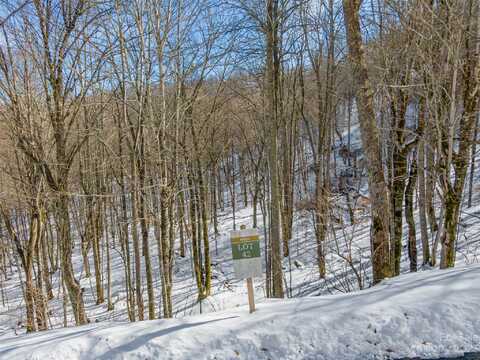 Lot 42 Black Bear Run, Mars Hill, NC 28754