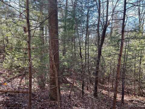 Willow Run Lane unit: 12, Zirconia, NC 28790