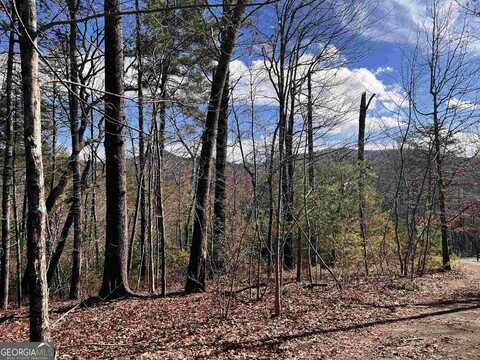 0 Secluded Pond Road, Cleveland, GA 30528