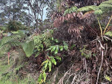 ALA OHIA ST, VOLCANO, HI 96785