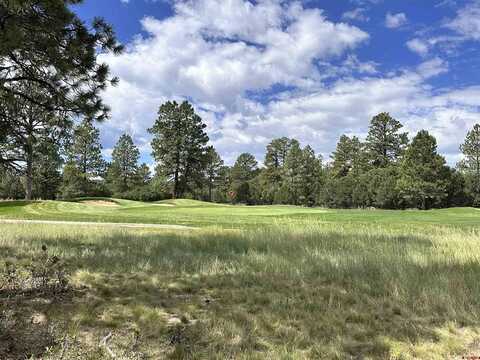 536 Badger Trail North, Ridgway, CO 81432