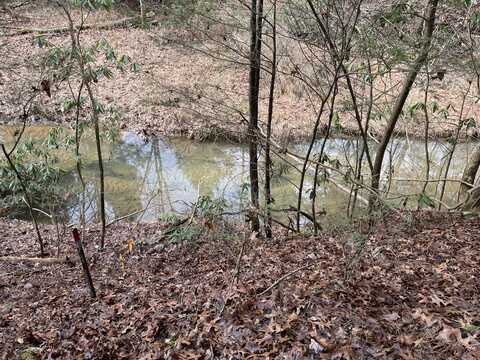 Lot 1 Woods Bend Subdivision, London, KY 40741