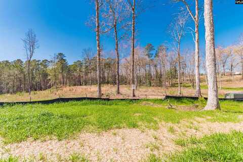 0 Woodside Shores Drive, Prosperity, SC 29127