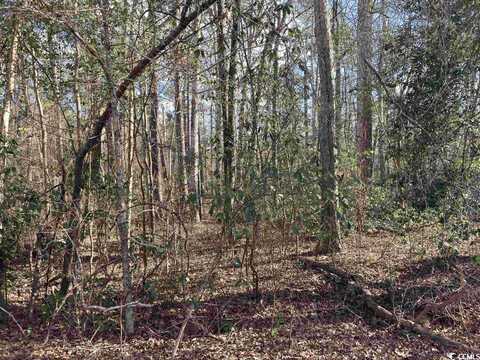 TBD Pineneedle Circle, Johnsonville, SC 29555