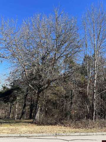 Lot 28 NORTHPOINTE DRIVE, Mountain Home, AR 72653