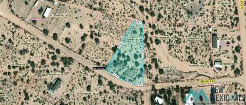 Lot 792 Pinto Trail, Elephant Butte, NM 87935