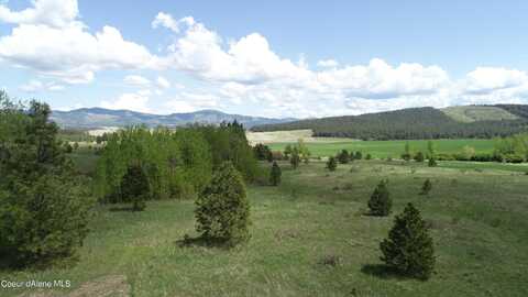 Lot 10 Warbler Lane, Desmet, ID 83824