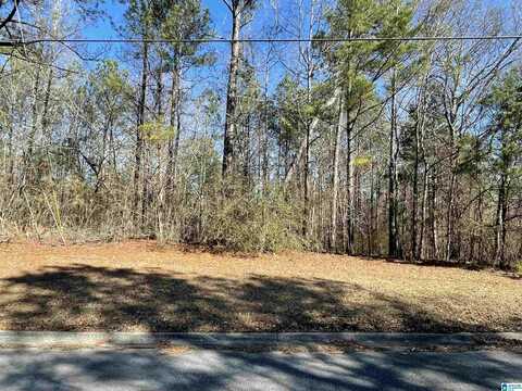 0 WILSON GLEN DRIVE, WILSONVILLE, AL 35186