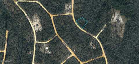 00 Koskiusko Drive, Alford, FL 32420