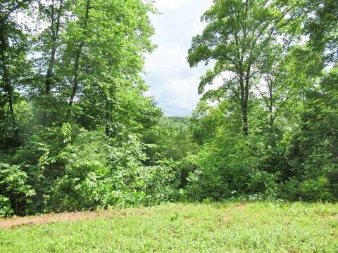 Lot 9 Berry Cove Rd, Franklin, NC 28734