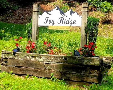 Ivy Ridge, Sylva, NC 28779