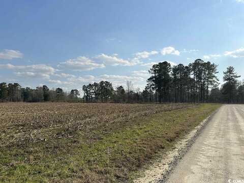 LOT 39 Gulley Ln., Salters, SC 29590