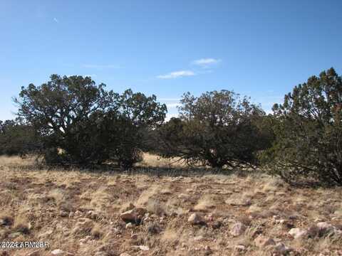 Lot 338 Chevelon Canyon Ranch --, Heber, AZ 85928