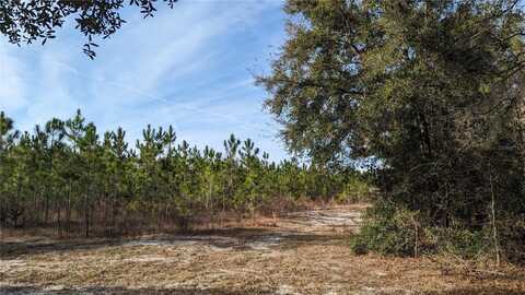 40 Ac OFF DIXIE (NE 30TH ST.) HIGHWAY, HIGH SPRINGS, FL 32643