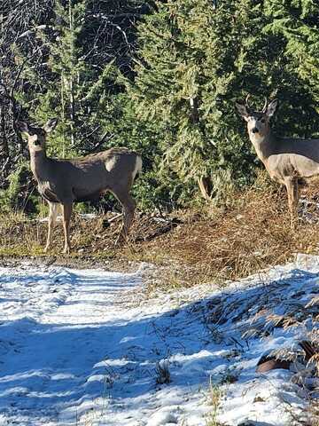 (TBD), Anaconda, MT 59711