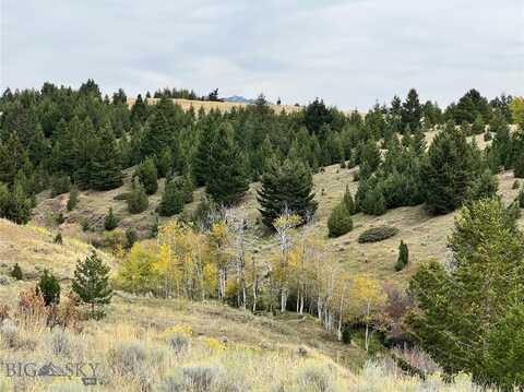 Tbd Frog Pond, Walkerville, MT 59701