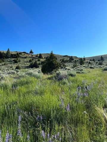 Tract 1c-2,162.2ac Meagher Trail, Virginia City, MT 59729