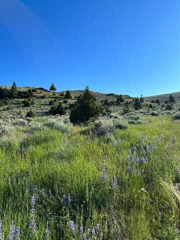 Tract 1C-2, 162.2ac Meagher Trail, Virginia City, MT 59729