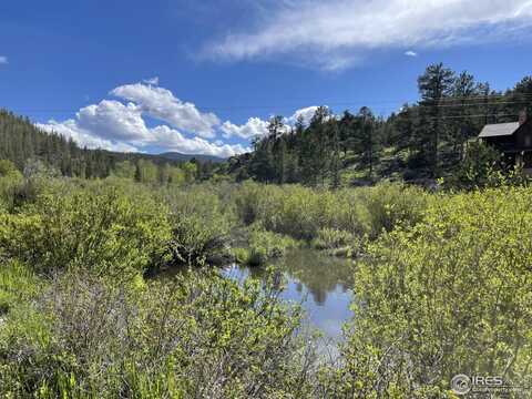 53 Ada Ct, Red Feather Lakes, CO 80545