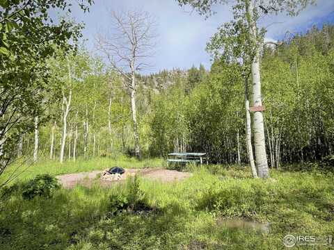 53 Ada Ct, Red Feather Lakes, CO 80545