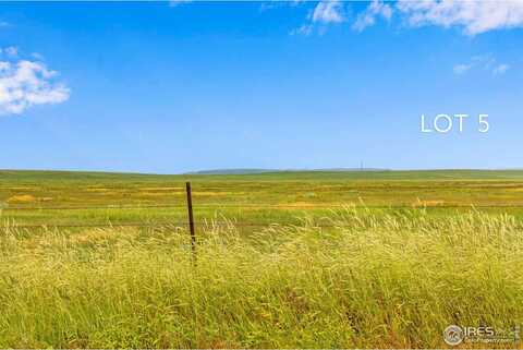 5 TBD County Road 17, Carr, CO 80612