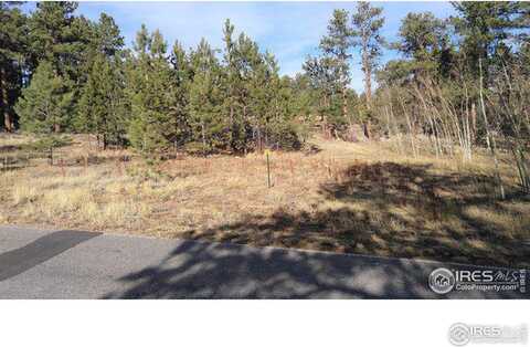 2 W Fox Acres Dr, Red Feather Lakes, CO 80545