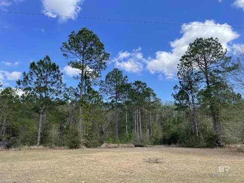 0 E Quail Ridge Lane, Grand Bay, AL 36541