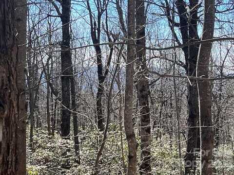 Lot 79 Arrowhead Trail, Columbus, NC 28722