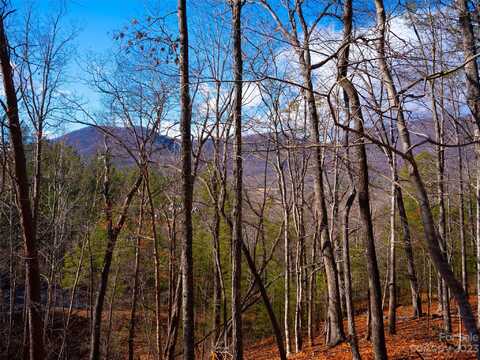 Lot 29 Deep Gap Farm Road E, Mill Spring, NC 28756