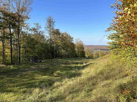 Lot 73 Twister Lane, Davis, WV 26260