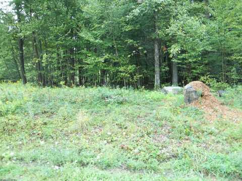 LOT 19 Hemlock Ridge Road, Terra Alta, WV 26764