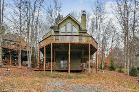 199 Treetop Lane, Davis, WV 26260