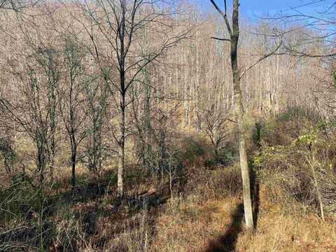 Lot 2 Jesse's Run Road, Fairview, WV 26570