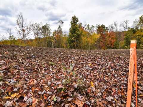 Lot 3 King Drive, Kingwood, WV 26537