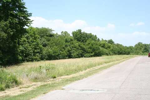 Lot 4 Chickasaw Bluff Dr, Dyersburg, TN 38024