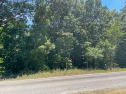 0 MOUNT PINSON Road, Jackson, TN 38301