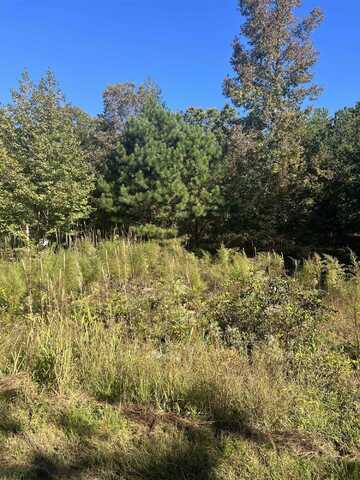 Lot 103 Oak Point Drive Drive, Lexington, TN 38351