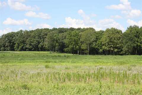 Trice Rd. Lot #4, Henderson, TN 38340