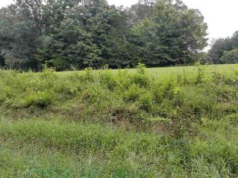 207 Parkburg (Lot 8), Jackson, TN 38301