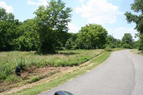 Lot 38 Chickasaw Bluff Dr, Dyersburg, TN 38024