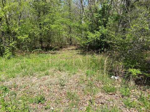 Woodland, Henderson, TN 38340