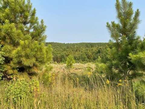 0 Purdy And Carnal Rd, Huntingdon, TN 38344