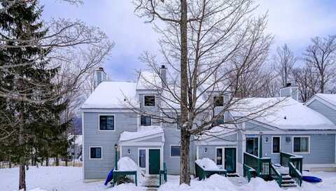 60 Okemo Trailside Extension, Ludlow, VT 05149