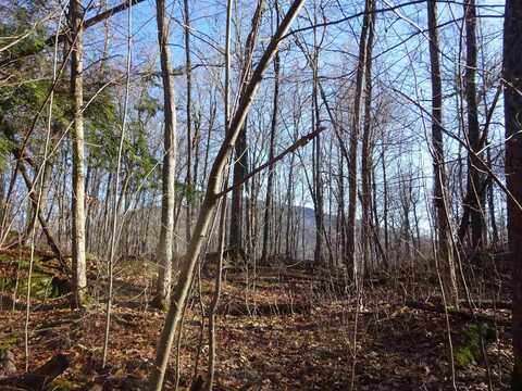 1928 Rt-131, Weathersfield Bow, VT 05156