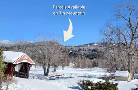 25-3-2 Tin Mine Road, Jackson, NH 03846