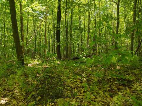 Attleboro Mountain Road, Richmond, NH 03470